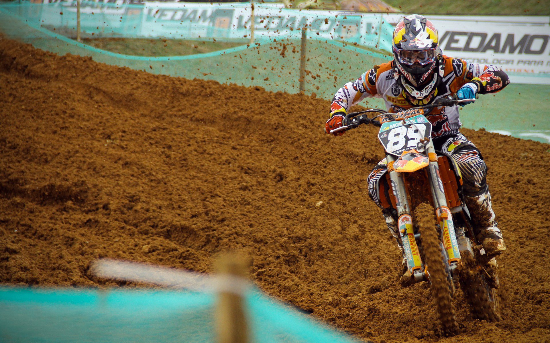 “阿根廷美洲狮队:橄榄球冠军赛的黑马崛起”