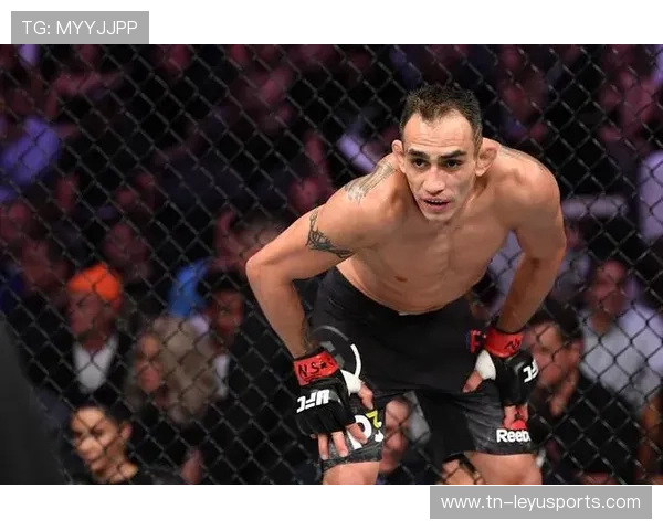 UFC 夜赛一拳终结！裁判都来不及阻拦