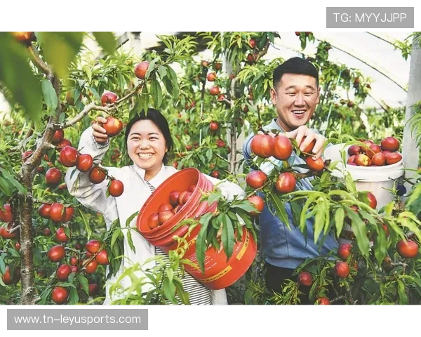 篮球运动助推农村振兴，乡村振兴战略中的新亮点，乡村篮球活动照片