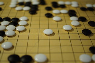 乐鱼体育登录-中国篮球教练员战术执行力培养及技能提升方法，篮球教练战术安排