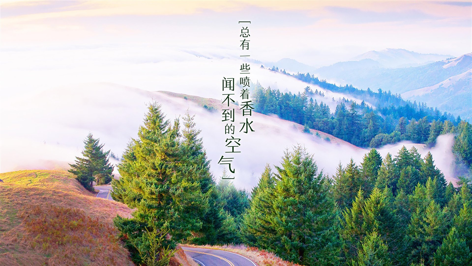 意甲技术型中场对球队胜率的定量贡献，意甲最强中场