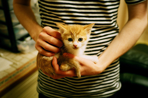 “美洲狮队展现顶级球员风采,未来前景无限”