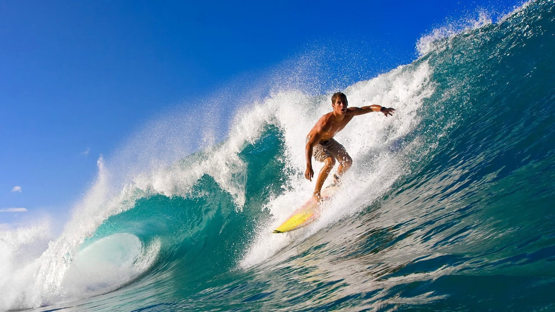 乐鱼体育在线入口-弗朗索瓦·霍尔茨豪伊泽：防线与进攻的双重威胁，展现南非队全方位优势