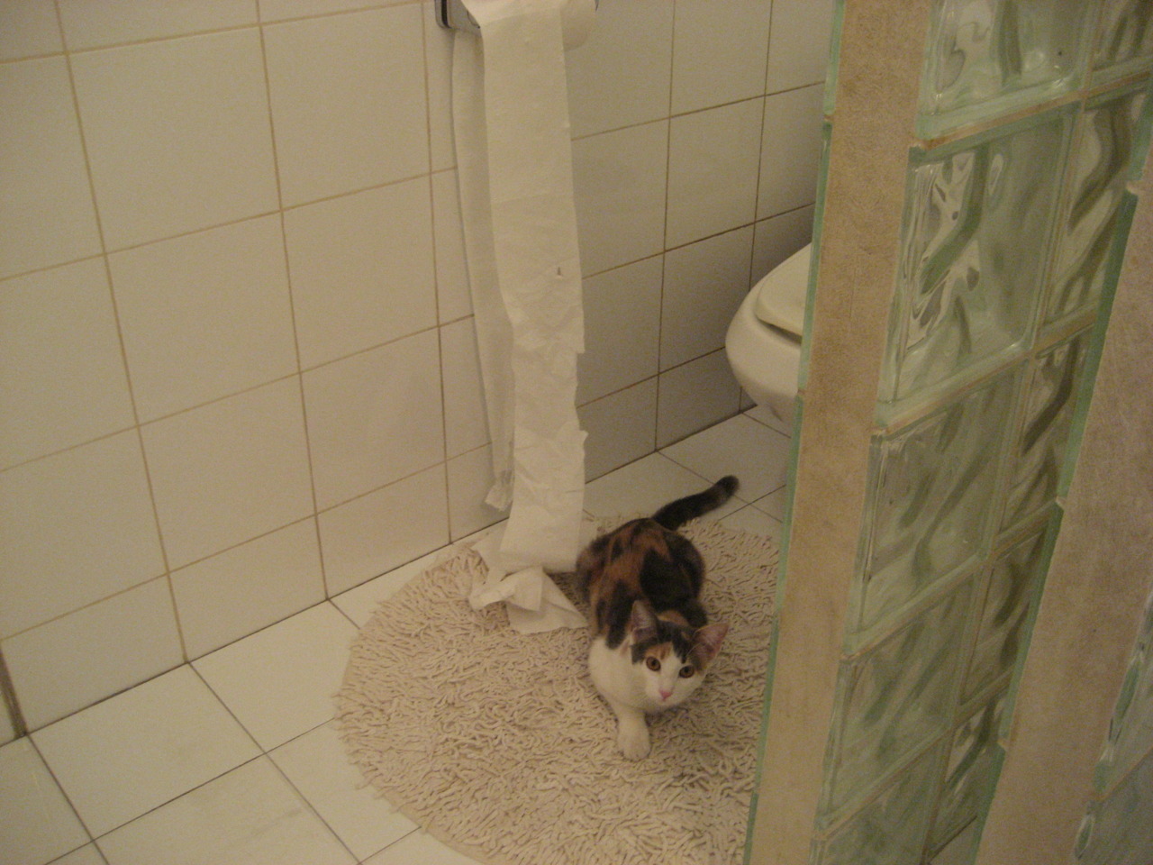 比赛前联合媒体开展公开训练日增强球队透明度与外界互动,比赛前一周怎么训练