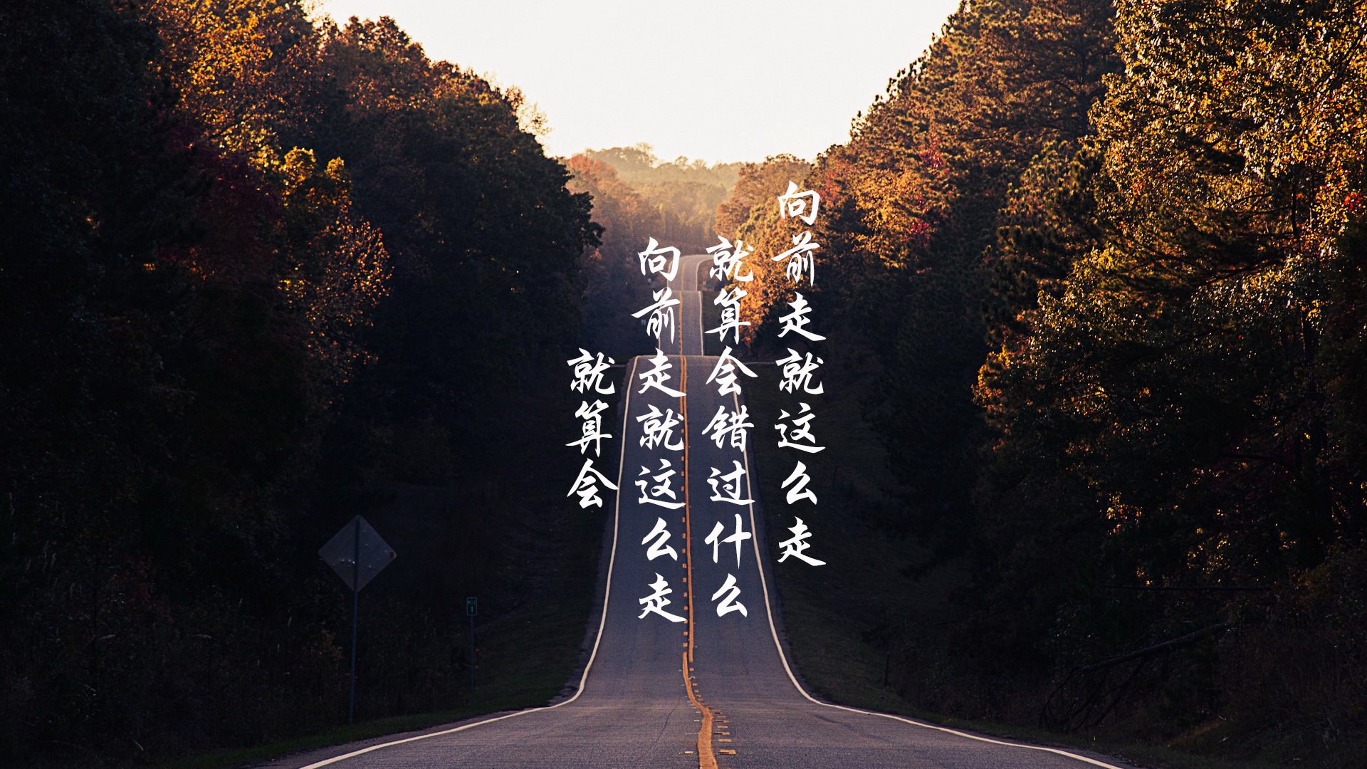 法甲冠军争夺:战术对决中的精彩瞬间,法甲挑战赛