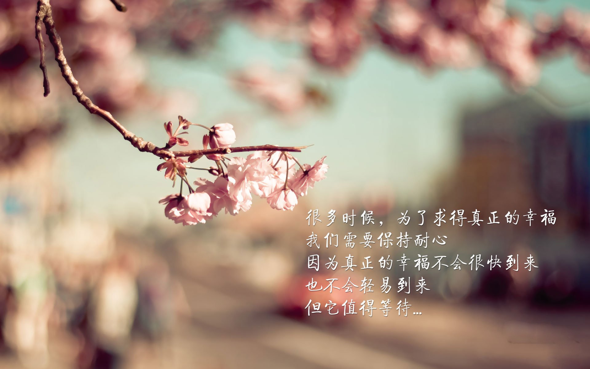 乐鱼体育官网投注-荷兰男将混合泳耐力惊人，荷兰游泳队